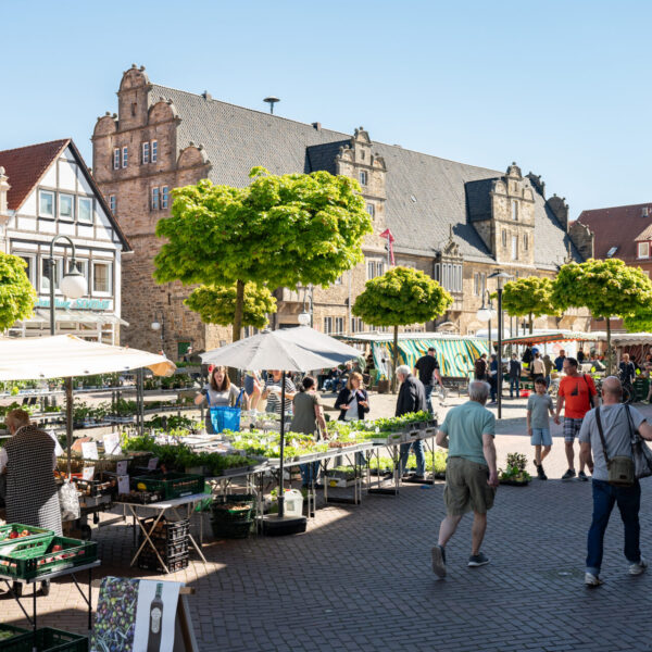 Wochenmarkt auf dem Marktplatz von Stadthagen.