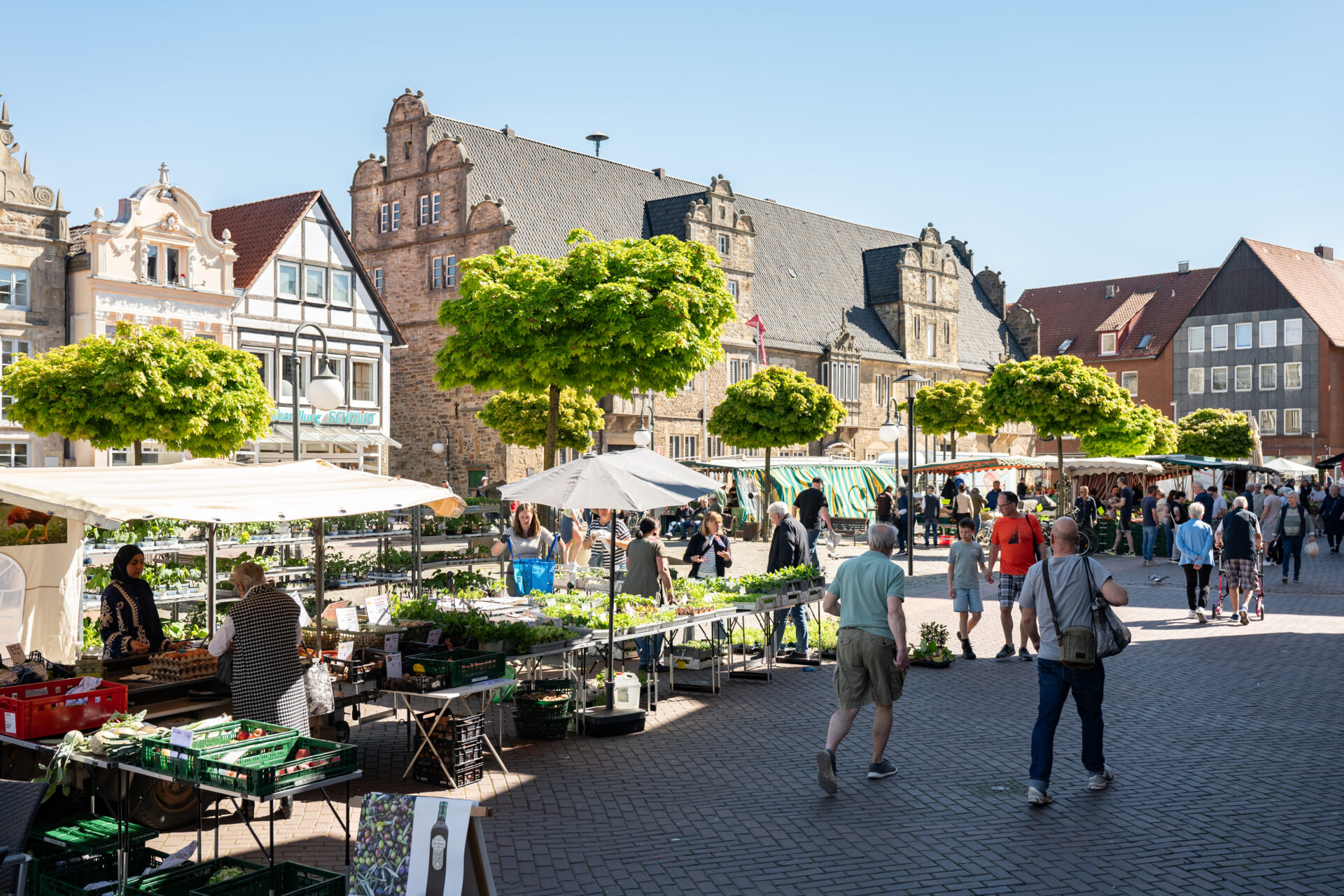 Wochenmarkt auf dem Marktplatz von Stadthagen.
