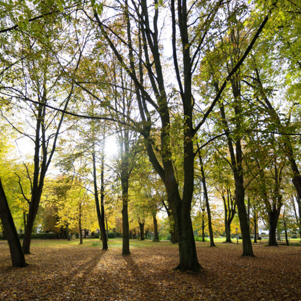Blick in den Schlossgarten von Stadthagen
