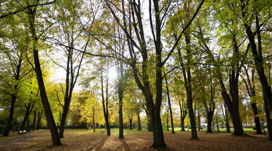 Blick in den Schlossgarten von Stadthagen