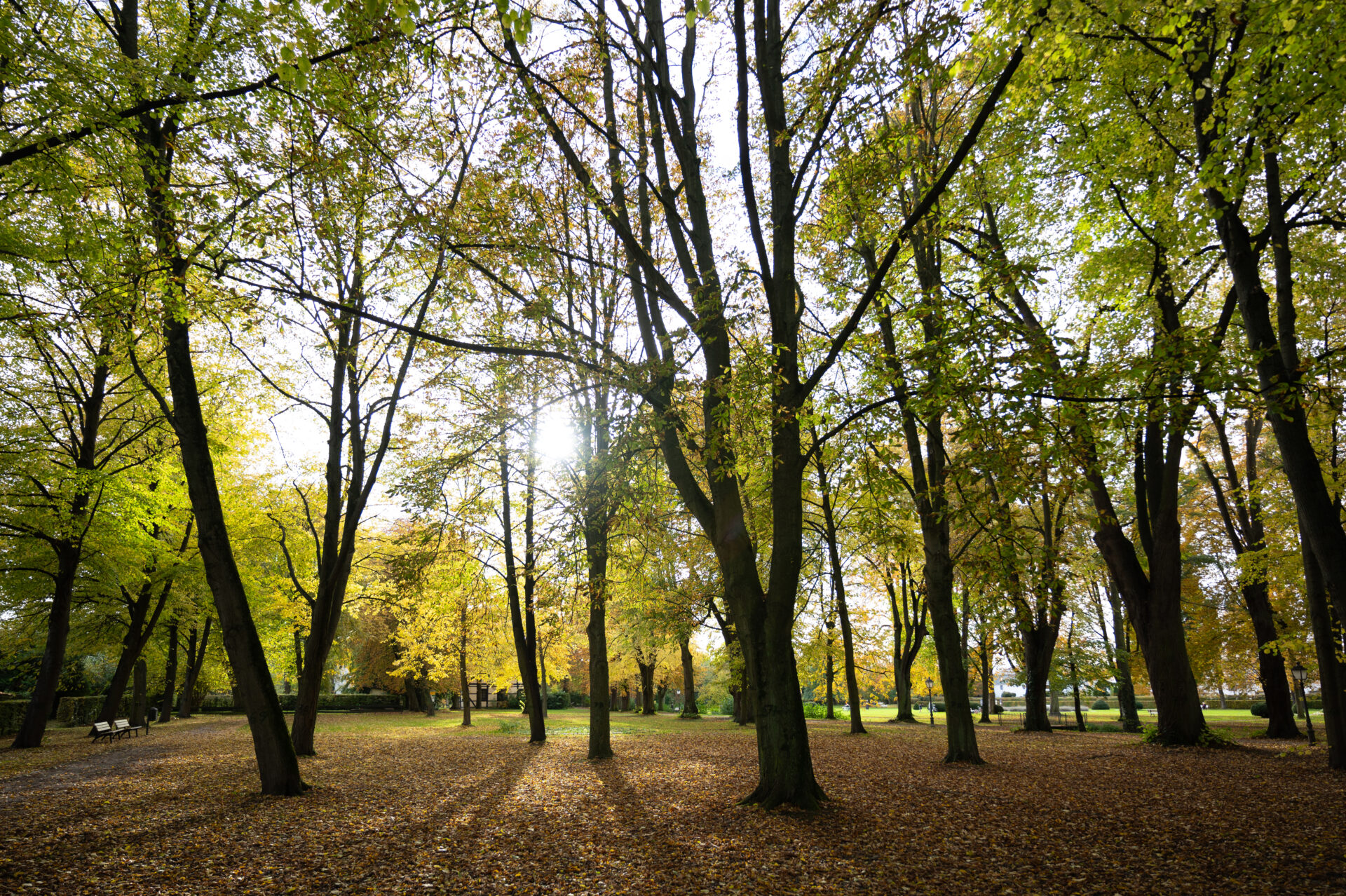 Blick in den Schlossgarten von Stadthagen